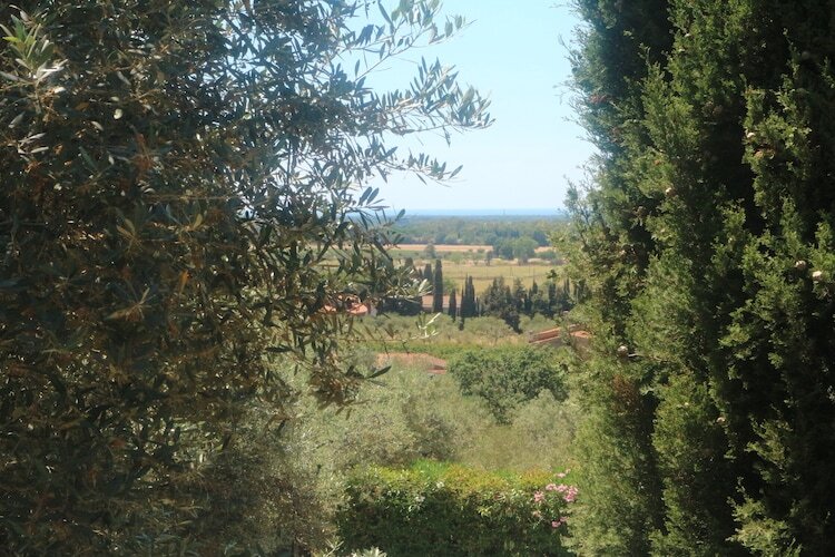 Maison Mario à Castagneto Carducci, oliveraies et mer - Photo 36