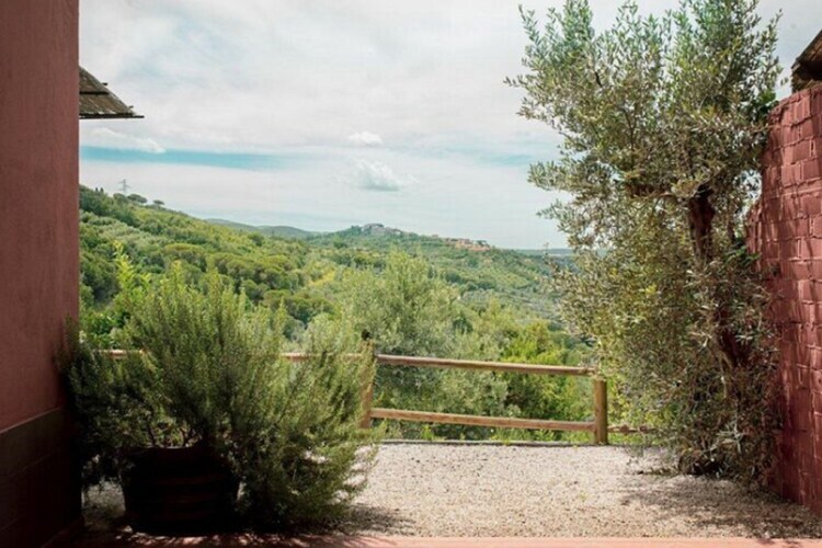 Maison Mario à Castagneto Carducci, oliveraies et mer - Photo 37