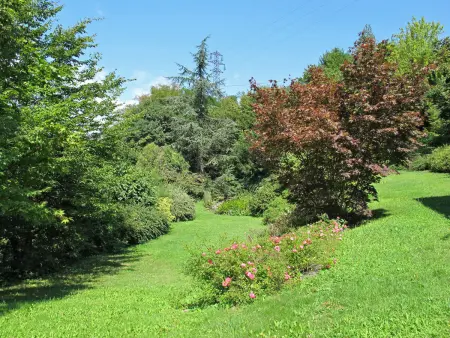 Villa La Perla del Lago, colline au-dessus du lac de Caldonazzo : photo 31