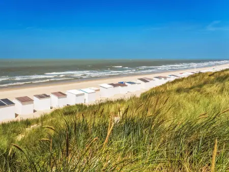 Appartement vue mer avec terrasse à Bredene, 3 chambres : photo 16