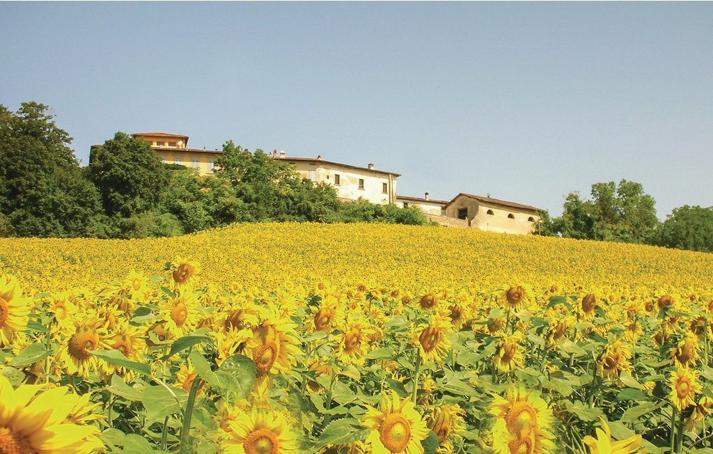 Villa di Collina, Maison 14 personnes à Vicchio FI - Photo 33