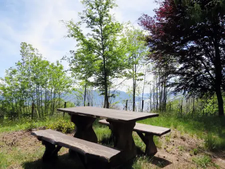 Baita Nini – Maison rustique 800 m d'altitude - Photo 29