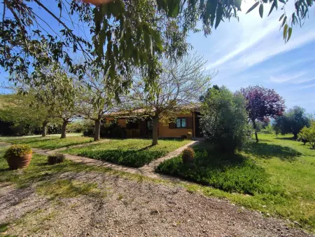 Gîte 4 pers. à Roccastrada, piscine naturelle : photo 16
