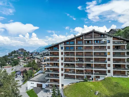 Chaedoz 13, Appartement 2 personnes à Nendaz - Photo 4