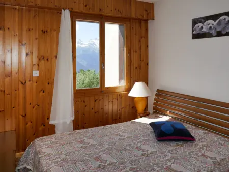 Chaedoz 13, Appartement 2 personnes à Nendaz - Photo 12
