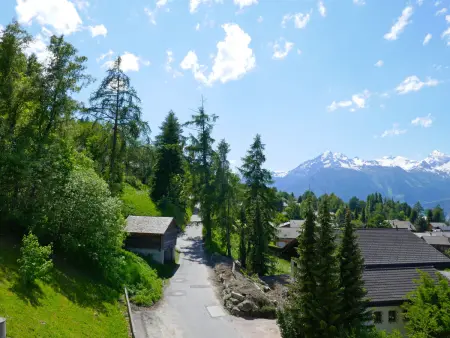 Chaedoz 13, Appartement 2 personnes à Nendaz - Photo 19