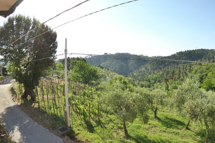 Tra Lucca e il Mare – Gîte avec piscine à Massarosa - Photo 1