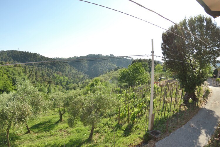 Tra Lucca e il Mare – Gîte avec piscine à Massarosa - Photo 2