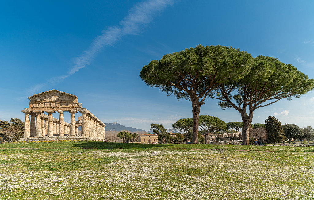 Villa Ginestra – Maison 6 pers. au cœur du Cilento - Photo 24