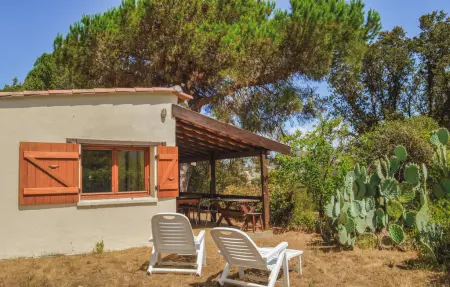 Maison Calcatoggio avec vue montagne et terrain 1000 m² : photo 7