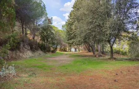 Maison Calcatoggio avec vue montagne et terrain 1000 m² : photo 11