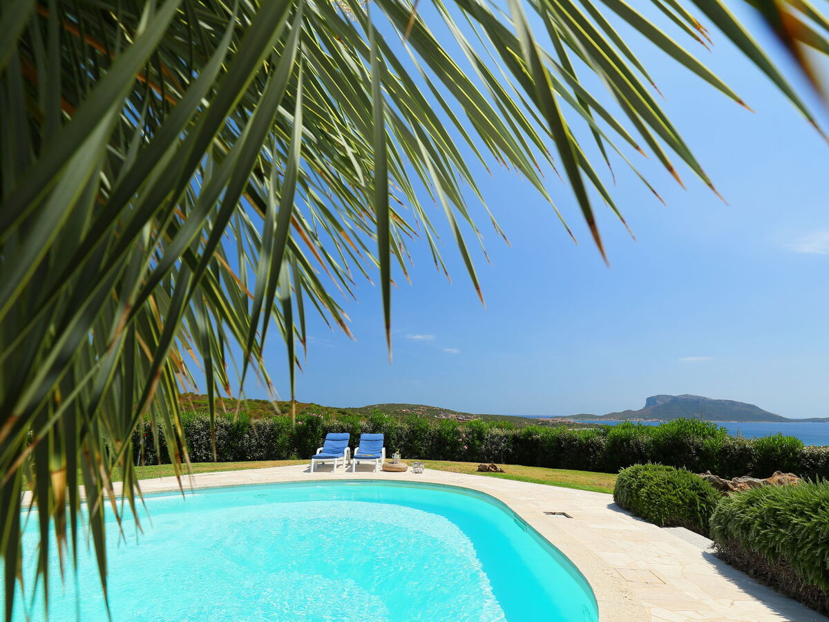 Maison Iris à Golfo Aranci, vue mer et piscine - Photo 27