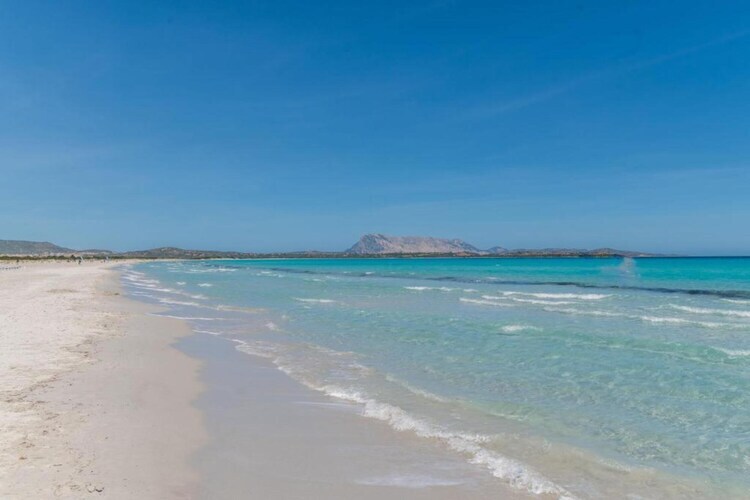Gallura Trilo – Maison 5 pers. au cœur de San Teodoro - Photo 35