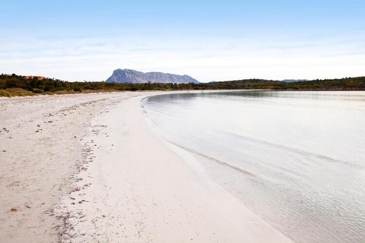 Gallura Trilo – Maison 5 pers. au cœur de San Teodoro - Photo 38