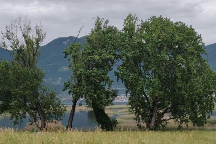 Casa dei Nonni – Maison XIIIe siècle à Provaglio d'Iseo - Photo 37