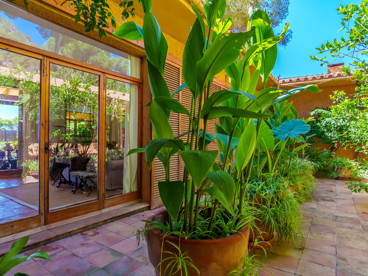 Villa Finca L'Embat, 10 pers., vue mer à Son Servera - Photo 36