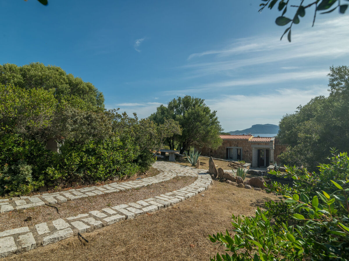 Maison Pietra à Pittulongu, 3 chambres, terrasse vue mer - Photo 32