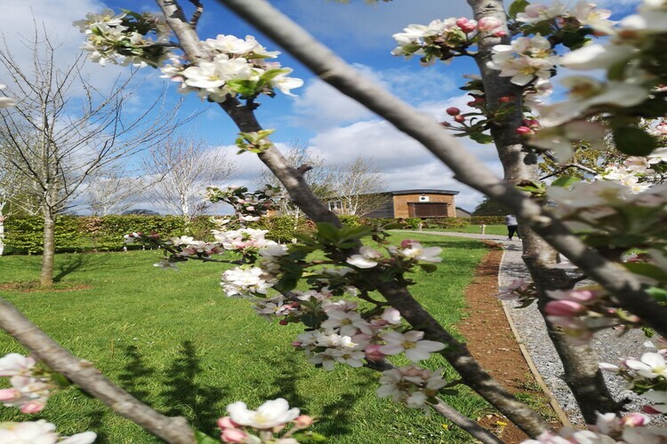 La roulotte des Ardennes, gîte avec sauna privé - Photo 29