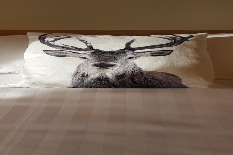 La roulotte des Ardennes, gîte avec sauna privé - Photo 31