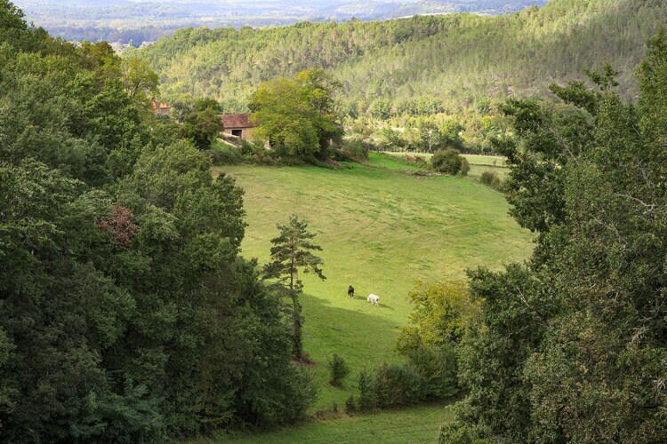 La Dépendance : maison 9 pers. sur 75 hectares - Photo 34