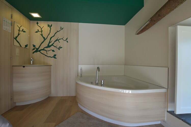 Fermette Waimes : maison 9 pers., sauna, hammam, lac à 500m - Photo 32