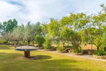 Finca Son Pou, villa 12 personnes avec piscine et court de paddle : photo 45