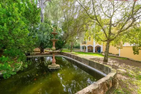 Finca Son Pou, villa 12 personnes avec piscine et court de paddle : photo 47