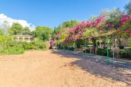 Finca Son Pou, villa 12 personnes avec piscine et court de paddle : photo 57