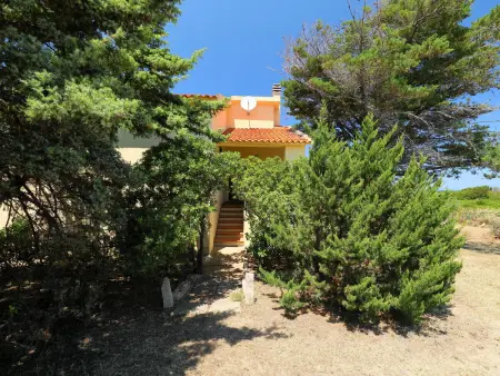 Ananas 4 D - Appartement face à la mer à Valledoria : photo 14