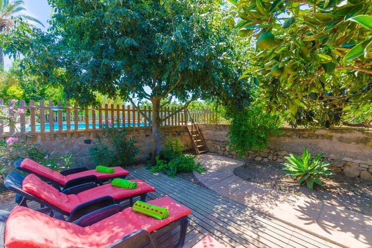 Villa Hort de Can Bou – Porreres, piscine et jardin - Photo 5