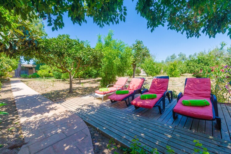 Villa Hort de Can Bou – Porreres, piscine et jardin - Photo 9