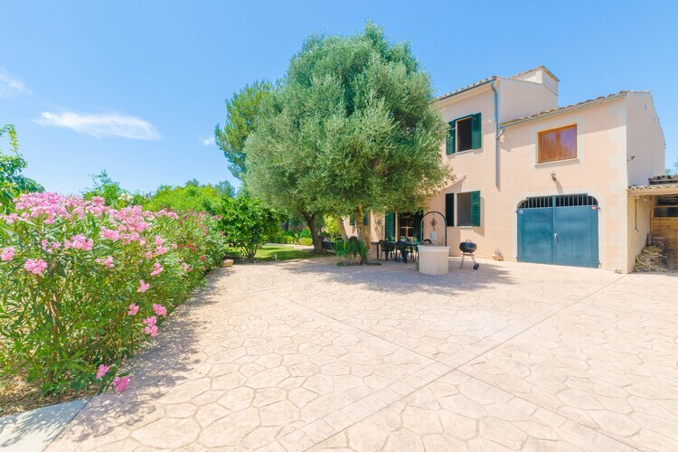 Villa Hort de Can Bou – Porreres, piscine et jardin - Photo 13