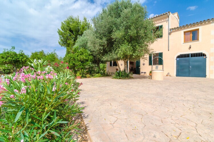 Villa Hort de Can Bou – Porreres, piscine et jardin - Photo 31