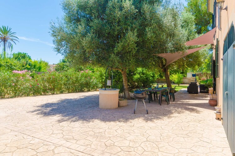 Villa Hort de Can Bou – Porreres, piscine et jardin - Photo 32
