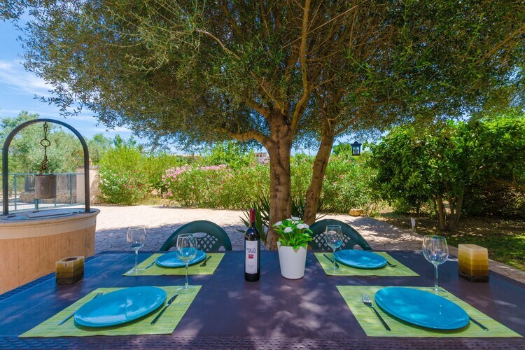 Villa Hort de Can Bou – Porreres, piscine et jardin - Photo 35
