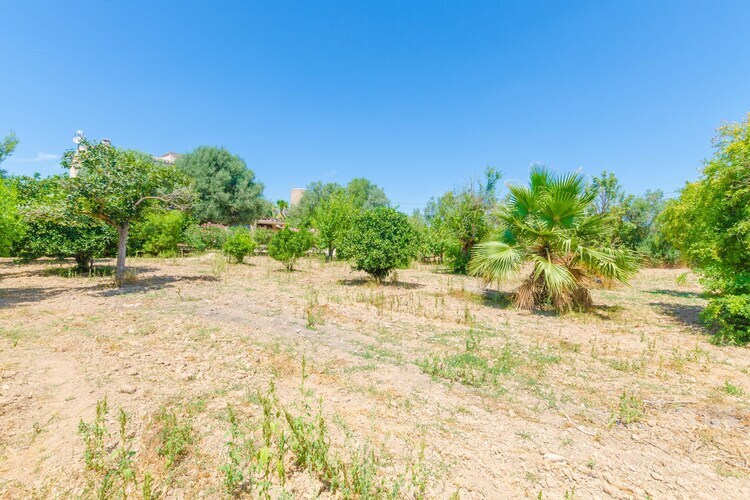Villa Hort de Can Bou – Porreres, piscine et jardin - Photo 42