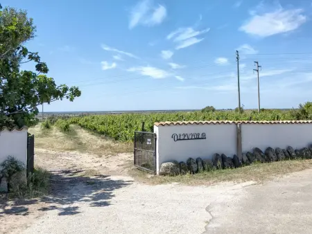 Oliviola – Maison 12 pers. avec piscine à Valledoria : photo 6