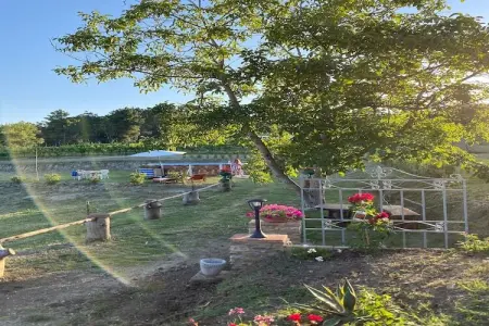 La Casa dei Nonni – Maison Chianni avec piscine : photo 26