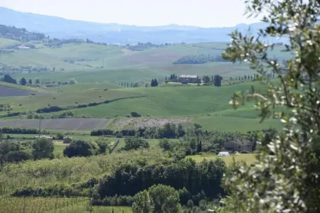 La Casa dei Nonni – Maison Chianni avec piscine : photo 30