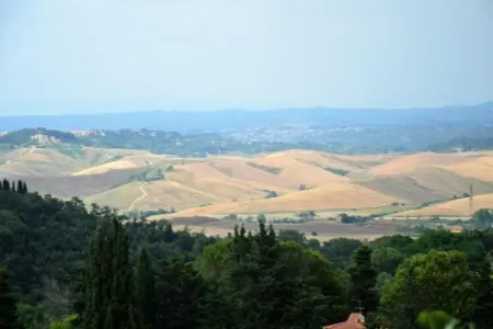 La Casa dei Nonni – Maison Chianni avec piscine : photo 34
