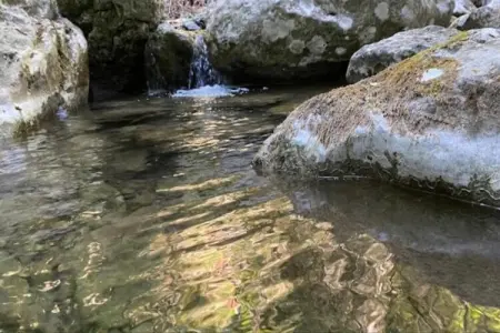 La Casa dei Nonni – Maison Chianni avec piscine : photo 35