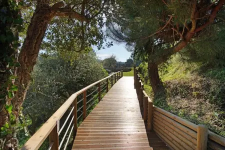 Villa Colina, Villa spacieuse à Salir de Matos, Lisbonne, avec piscine - Photo 18