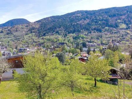 Les Érables, 2 pièces 38 m² à Saint-Gervais : photo 3