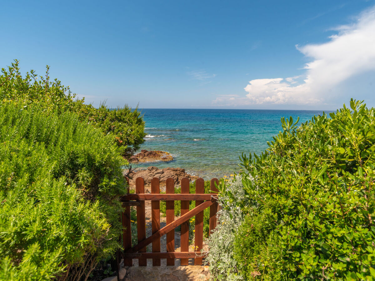 Sassicaia – Maison vue mer à Portobello - Photo 47