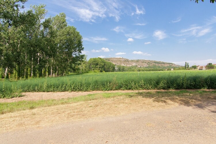 Maison 7 chambres au bord du Lot, Cénevières - Photo 28