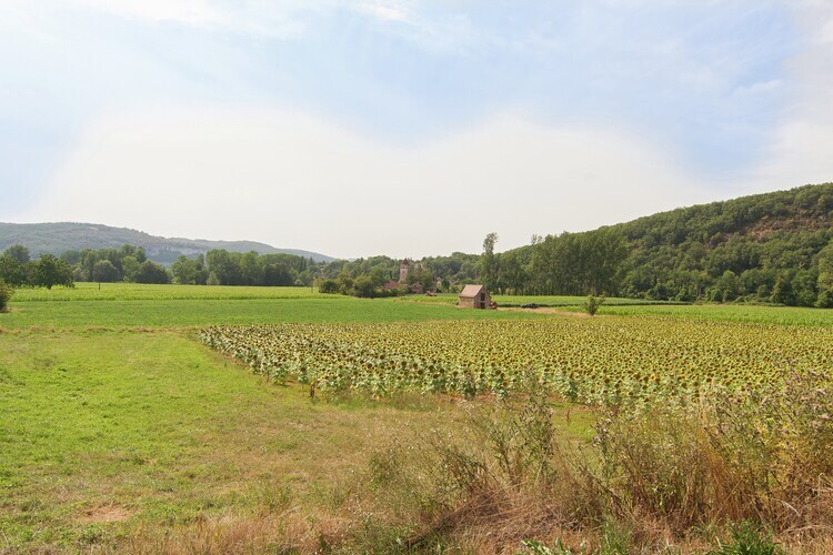 Maison 7 chambres au bord du Lot, Cénevières - Photo 39
