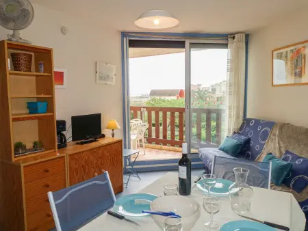 Appartement 2 pièces vue mer à Gruissan, balcon sud-ouest : photo 7