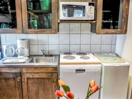 Grand Roc, Appartement 4 personnes à Argentière - Photo 2