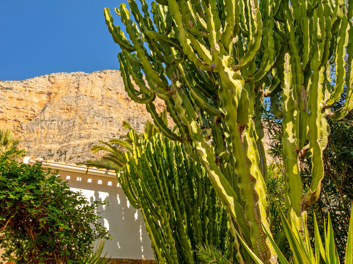 Maison Petite Fleur à Javea – piscine et jardin de 1 200 m² - Photo 37