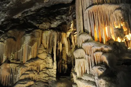 La Moineaudière, maison 14 pers. à Rochefort : photo 37